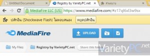 Google Chrome กับอาการปลั๊กอินไม่ตอบสนอง