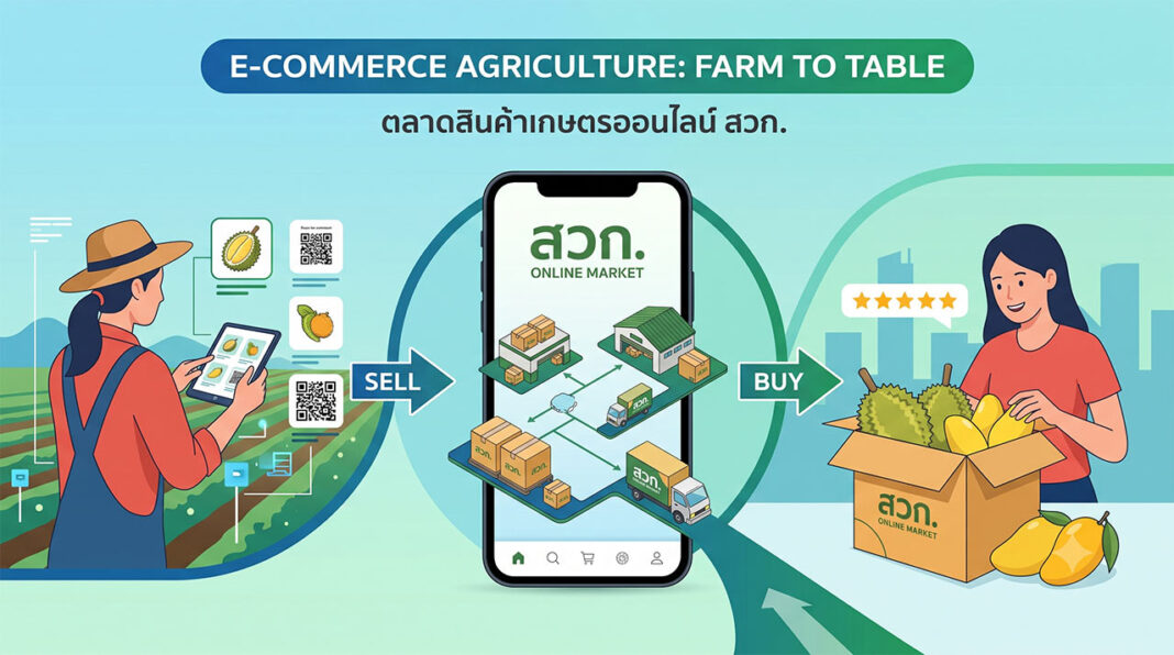 E-Commerce Agriculture: Farm to Table | ตลาดสินค้าเกษตรออนไลน์ สวท. ภาพกราฟิกโปรโมทตลาดสินค้าเกษตรออนไลน์ สวท. แสดงคอนเซ็ปต์ Farm to Table มีเกษตรกรหญิงสวมหมวกฟางกำลังใช้แท็บเล็ตและ QR Code ขายสินค้า ตรงกลางเป็นสมาร์ทโฟนแสดงโลโก้ สวท. ONLINE MARKET พร้อมไอคอนคลังสินค้า รถขนส่ง และลูกศร SELL กับ BUY ด้านขวาผู้หญิงยิ้มรับกล่องผลไม้สด (ทุเรียน มะม่วง) พร้อมรีวิว 5 ดาว