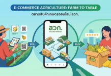 ตลาดสินค้าเกษตรออนไลน์ โอกาสใหม่ของเกษตรกรและผู้ประกอบการไทยสู่ความยั่งยืน ภาพกราฟิกโปรโมทตลาดสินค้าเกษตรออนไลน์ สวท. แสดงคอนเซ็ปต์ Farm to Table มีเกษตรกรหญิงสวมหมวกฟางกำลังใช้แท็บเล็ตและ QR Code ขายสินค้า ตรงกลางเป็นสมาร์ทโฟนแสดงโลโก้ สวท. ONLINE MARKET พร้อมไอคอนคลังสินค้า รถขนส่ง และลูกศร SELL กับ BUY ด้านขวาผู้หญิงยิ้มรับกล่องผลไม้สด (ทุเรียน มะม่วง) พร้อมรีวิว 5 ดาว