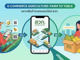 ตลาดสินค้าเกษตรออนไลน์ โอกาสใหม่ของเกษตรกรและผู้ประกอบการไทยสู่ความยั่งยืน ภาพกราฟิกโปรโมทตลาดสินค้าเกษตรออนไลน์ สวท. แสดงคอนเซ็ปต์ Farm to Table มีเกษตรกรหญิงสวมหมวกฟางกำลังใช้แท็บเล็ตและ QR Code ขายสินค้า ตรงกลางเป็นสมาร์ทโฟนแสดงโลโก้ สวท. ONLINE MARKET พร้อมไอคอนคลังสินค้า รถขนส่ง และลูกศร SELL กับ BUY ด้านขวาผู้หญิงยิ้มรับกล่องผลไม้สด (ทุเรียน มะม่วง) พร้อมรีวิว 5 ดาว