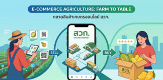ตลาดสินค้าเกษตรออนไลน์ โอกาสใหม่ของเกษตรกรและผู้ประกอบการไทยสู่ความยั่งยืน ภาพกราฟิกโปรโมทตลาดสินค้าเกษตรออนไลน์ สวท. แสดงคอนเซ็ปต์ Farm to Table มีเกษตรกรหญิงสวมหมวกฟางกำลังใช้แท็บเล็ตและ QR Code ขายสินค้า ตรงกลางเป็นสมาร์ทโฟนแสดงโลโก้ สวท. ONLINE MARKET พร้อมไอคอนคลังสินค้า รถขนส่ง และลูกศร SELL กับ BUY ด้านขวาผู้หญิงยิ้มรับกล่องผลไม้สด (ทุเรียน มะม่วง) พร้อมรีวิว 5 ดาว