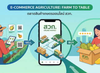 ตลาดสินค้าเกษตรออนไลน์ โอกาสใหม่ของเกษตรกรและผู้ประกอบการไทยสู่ความยั่งยืน ภาพกราฟิกโปรโมทตลาดสินค้าเกษตรออนไลน์ สวท. แสดงคอนเซ็ปต์ Farm to Table มีเกษตรกรหญิงสวมหมวกฟางกำลังใช้แท็บเล็ตและ QR Code ขายสินค้า ตรงกลางเป็นสมาร์ทโฟนแสดงโลโก้ สวท. ONLINE MARKET พร้อมไอคอนคลังสินค้า รถขนส่ง และลูกศร SELL กับ BUY ด้านขวาผู้หญิงยิ้มรับกล่องผลไม้สด (ทุเรียน มะม่วง) พร้อมรีวิว 5 ดาว