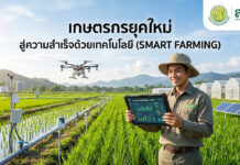 เกษตรกรยุคใหม่ ปรับตัวอย่างไรให้รอดและเติบโตในยุคเทคโนโลยี ภาพเกษตรกรชายหนุ่มยิ้มแย้มสวมหมวกถือแท็บเล็ตแสดงแดชบอร์ด IoT ในทุ่งนาข้าวสีเขียว มีโดรนบิน ระบบเซ็นเซอร์ตรวจวัดสภาพอากาศ โรงเรือนปลูกพืช แผงโซลาร์เซลล์ และภูเขาในพื้นหลัง พร้อมข้อความ “เกษตรกรยุคใหม่ สู่ความสำเร็จด้วยเทคโนโลยี (SMART FARMING)” และโลโก้ สวทช.