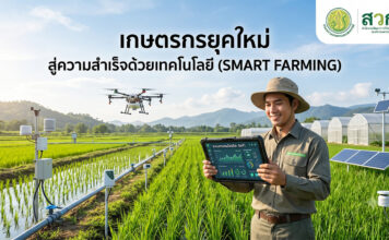 เกษตรกรยุคใหม่ ปรับตัวอย่างไรให้รอดและเติบโตในยุคเทคโนโลยี ภาพเกษตรกรชายหนุ่มยิ้มแย้มสวมหมวกถือแท็บเล็ตแสดงแดชบอร์ด IoT ในทุ่งนาข้าวสีเขียว มีโดรนบิน ระบบเซ็นเซอร์ตรวจวัดสภาพอากาศ โรงเรือนปลูกพืช แผงโซลาร์เซลล์ และภูเขาในพื้นหลัง พร้อมข้อความ “เกษตรกรยุคใหม่ สู่ความสำเร็จด้วยเทคโนโลยี (SMART FARMING)” และโลโก้ สวทช.