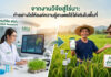 สวก. ขับเคลื่อน “งานวิจัยเกษตร” สู่ไร่นา พลิกโฉมองค์ความรู้สู่การปฏิบัติจริงในพื้นที่ ภาพแบ่งครึ่งแนวตั้งแสดงการเชื่อมโยงระหว่างงานวิจัยกับการใช้งานจริงในไร่นา ด้านซ้ายเป็นนักวิจัยหญิงในห้องปฏิบัติการ ARDA กำลังทำงานกับคอมพิวเตอร์ที่แสดงกราฟข้อมูลและโมเลกุลของพืชข้าว รอบโต๊ะมีกล้องจุลทรรศน์ ต้นกล้าข้าว และบีกเกอร์ ด้านขวาคือเกษตรกรชายยิ้มยืนในทุ่งนาข้าว ถือสมาร์ทโฟนแสดงกราฟข้อมูล มีอุปกรณ์ IoT ติดตั้งในทุ่งนา ลูกศรสีเขียวขนาดใหญ่ชี้จากห้องแล็บไปยังทุ่งนา พร้อมป้าย ARDA “สู่ไร่นาจริง (To Real Farms)” และข้อความหัวเรื่องสีเขียว “จากงานวิจัยสู่ไร่นา: ทำอย่างไรให้องค์ความรู้เกษตรใช้ได้จริงในพื้นที่”