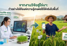 สวก. ขับเคลื่อน “งานวิจัยเกษตร” สู่ไร่นา พลิกโฉมองค์ความรู้สู่การปฏิบัติจริงในพื้นที่ ภาพแบ่งครึ่งแนวตั้งแสดงการเชื่อมโยงระหว่างงานวิจัยกับการใช้งานจริงในไร่นา ด้านซ้ายเป็นนักวิจัยหญิงในห้องปฏิบัติการ ARDA กำลังทำงานกับคอมพิวเตอร์ที่แสดงกราฟข้อมูลและโมเลกุลของพืชข้าว รอบโต๊ะมีกล้องจุลทรรศน์ ต้นกล้าข้าว และบีกเกอร์ ด้านขวาคือเกษตรกรชายยิ้มยืนในทุ่งนาข้าว ถือสมาร์ทโฟนแสดงกราฟข้อมูล มีอุปกรณ์ IoT ติดตั้งในทุ่งนา ลูกศรสีเขียวขนาดใหญ่ชี้จากห้องแล็บไปยังทุ่งนา พร้อมป้าย ARDA “สู่ไร่นาจริง (To Real Farms)” และข้อความหัวเรื่องสีเขียว “จากงานวิจัยสู่ไร่นา: ทำอย่างไรให้องค์ความรู้เกษตรใช้ได้จริงในพื้นที่”