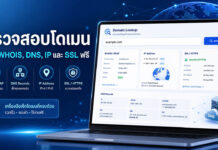 ตรวจสอบโดเมน เช็ก WHOIS, DNS, IP และ SSL ฟรีในหน้าเดียว ภาพเครื่องมือตรวจสอบโดเมนฟรี แสดงข้อมูล WHOIS, DNS Records, IP Address และ SSL HTTPS