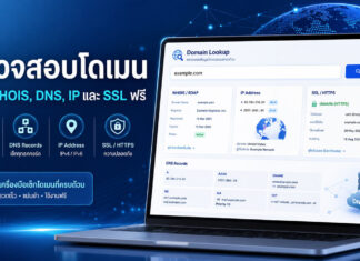 ตรวจสอบโดเมน เช็ก WHOIS, DNS, IP และ SSL ฟรีในหน้าเดียว ภาพเครื่องมือตรวจสอบโดเมนฟรี แสดงข้อมูล WHOIS, DNS Records, IP Address และ SSL HTTPS