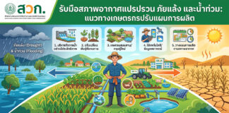 รับมือสภาพอากาศแปรปรวน ภัยแล้ง และน้ำท่วม: แนวทางเกษตรกรปรับแผนการผลิต เกษตรกรชายสวมเสื้อสีน้ำเงินและหมวกยืนอยู่ในเรือไม้เล็กบนคลองน้ำที่ท่วมขัง ล้อมรอบด้วยแปลงผักยกพื้นสีเขียวที่จมอยู่ในน้ำโคลน มีสถานีตรวจวัดระดับน้ำและสภาพอากาศ กระท่อมอุปกรณ์ หมู่บ้านและภูเขาอยู่เบื้องหลัง แสดงถึงการปรับตัวของเกษตรกรไทยต่อปัญหาน้ำท่วม