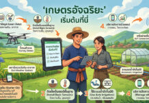 เกษตรอัจฉริยะ Smart Farming คืออะไร และเริ่มต้นได้อย่างไรสำหรับเกษตรกรไทย อินโฟกราฟิกแสดง 4 ขั้นตอนง่ายๆ ในการเริ่มทำเกษตรอินทรีย์อัจฉริยะ ได้แก่ 1. ศึกษาข้อมูล 2. ติดตั้งเซ็นเซอร์พื้นฐาน 3. ใช้ระบบน้ำอัตโนมัติ 4. บริหารจัดการด้วยแอปพลิเคชัน มีภาพคู่เกษตรกรถือแท็บเล็ต โดรน สถานีตรวจวัดดิน-อากาศ และโรงเรือนเพาะปลูก