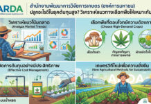 ปลูกอะไรดีในยุคต้นทุนสูง วิเคราะห์แนวทางเลือกพืชให้เหมาะกับตลาด อินโฟกราฟิกแนะนำการเลือกพืชเพาะปลูกในยุคต้นทุนสูงโดย สวก. แบ่งเป็น 4 หัวข้อหลัก ได้แก่ การวิเคราะห์แนวโน้มตลาด, การเลือกพืชที่ตอบโจทย์ความต้องการ เช่น เห็ดถั่งเช่า กัญชงกัญชาทางการแพทย์ และผักสลัดไฮโดรโปนิกส์, การจัดการต้นทุนอย่างมีประสิทธิภาพด้วยระบบน้ำหยดและโรงเรือน, และเกษตรวิถีใหม่เพื่อความยั่งยืนด้วยพลังงานสะอาด