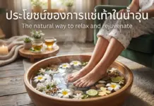 ประโยชน์ของการแช่เท้าในน้ำอุ่น ฟื้นฟูร่างกายชาวไอทีจากออฟฟิศซินโดรม ประโยชน์ของการแช่เท้าในน้ำอุ่น ฟื้นฟูร่างกายชาวไอทีจากออฟฟิศซินโดรม