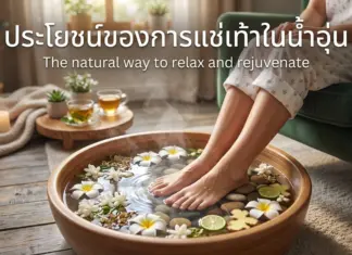 ประโยชน์ของการแช่เท้าในน้ำอุ่น ฟื้นฟูร่างกายชาวไอทีจากออฟฟิศซินโดรม ประโยชน์ของการแช่เท้าในน้ำอุ่น ฟื้นฟูร่างกายชาวไอทีจากออฟฟิศซินโดรม