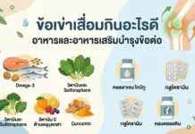 ข้อเข่าเสื่อมกินอะไรดี ? อาหารและอาหารเสริมข้อเข่าเสื่อม เพื่อสุขภาพข้อต่อที่ยั่งยืน ข้อเข่าเสื่อมกินอะไรดี ? อาหารและอาหารเสริมข้อเข่าเสื่อม เพื่อสุขภาพข้อต่อที่ยั่งยืน