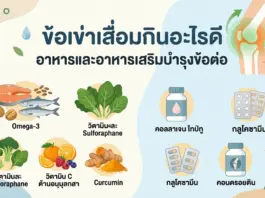 ข้อเข่าเสื่อมกินอะไรดี ? อาหารและอาหารเสริมข้อเข่าเสื่อม เพื่อสุขภาพข้อต่อที่ยั่งยืน ข้อเข่าเสื่อมกินอะไรดี ? อาหารและอาหารเสริมข้อเข่าเสื่อม เพื่อสุขภาพข้อต่อที่ยั่งยืน