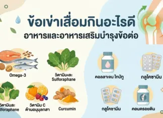 ข้อเข่าเสื่อมกินอะไรดี ? อาหารและอาหารเสริมข้อเข่าเสื่อม เพื่อสุขภาพข้อต่อที่ยั่งยืน ข้อเข่าเสื่อมกินอะไรดี ? อาหารและอาหารเสริมข้อเข่าเสื่อม เพื่อสุขภาพข้อต่อที่ยั่งยืน