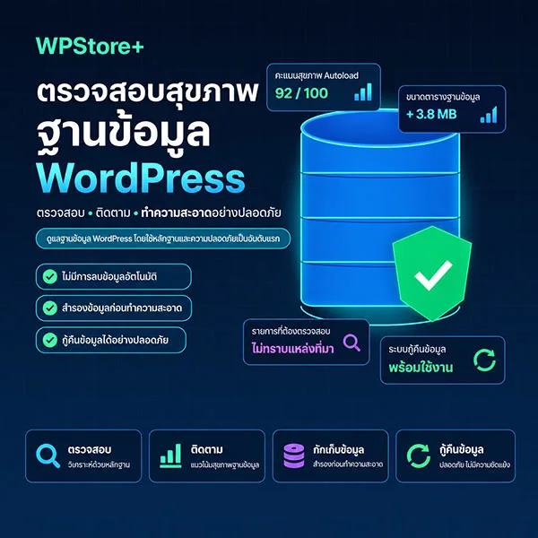 ปลั๊กอินตรวจสอบ Autoload WordPress และฐานข้อมูล